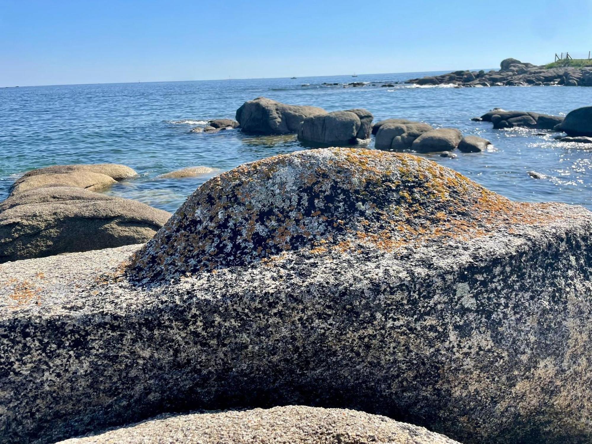 2 Maisons De Vacances Sittelles Lodge Concarneau Eksteriør bilde