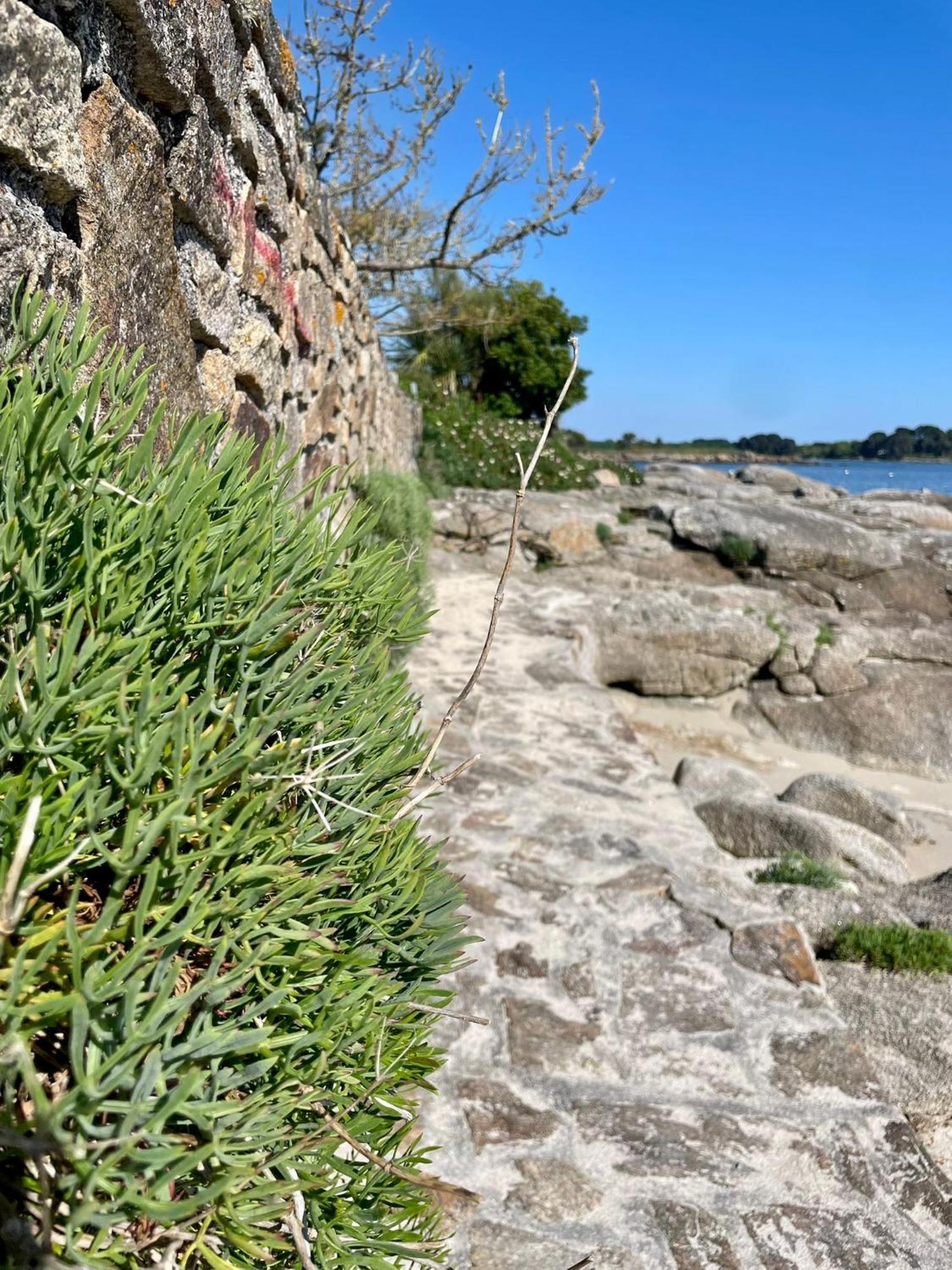 2 Maisons De Vacances Sittelles Lodge Concarneau Eksteriør bilde
