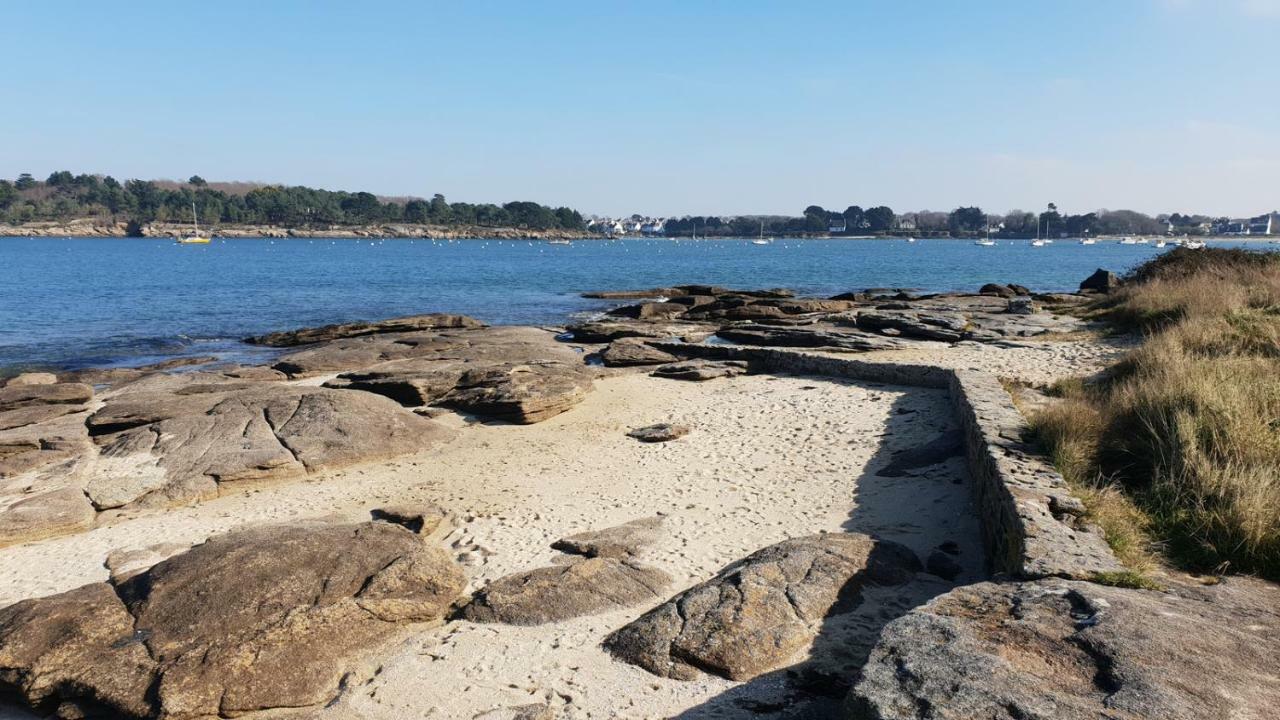 2 Maisons De Vacances Sittelles Lodge Concarneau Eksteriør bilde